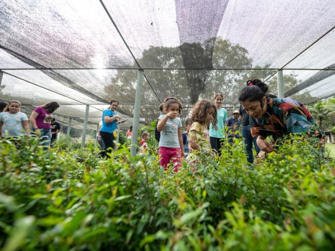 ''Aventura no Viveiro' é a primeira diversão da agenda
