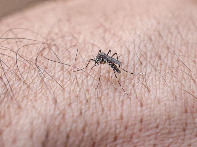 Estudo aponta risco elevado de complicações no parto relacionadas a dengue, zika e chikungunya-radardasaude 2 A infecção por vírus durante a gravidez está associada a maiores riscos de complicações no parto e para os recém-nascidos