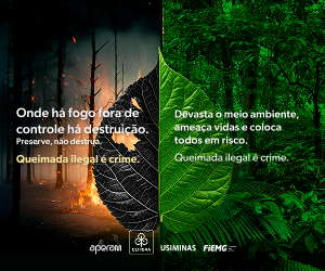 cenibra incendios 300x250