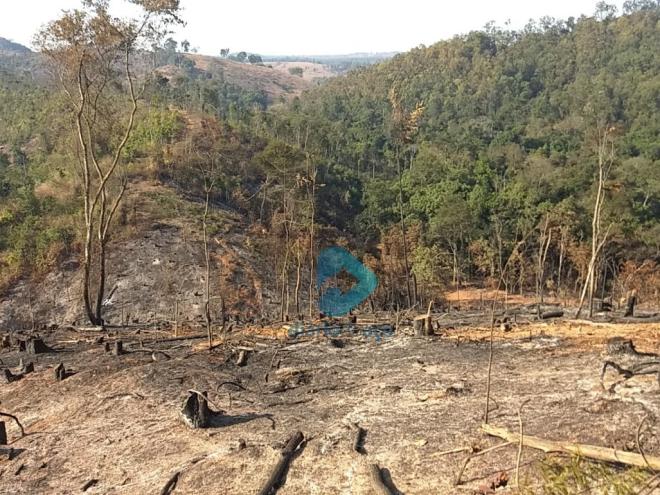 Na última semana de agosto vegetação foi devastada nas proximidades do Licuri, em Timóteo 
