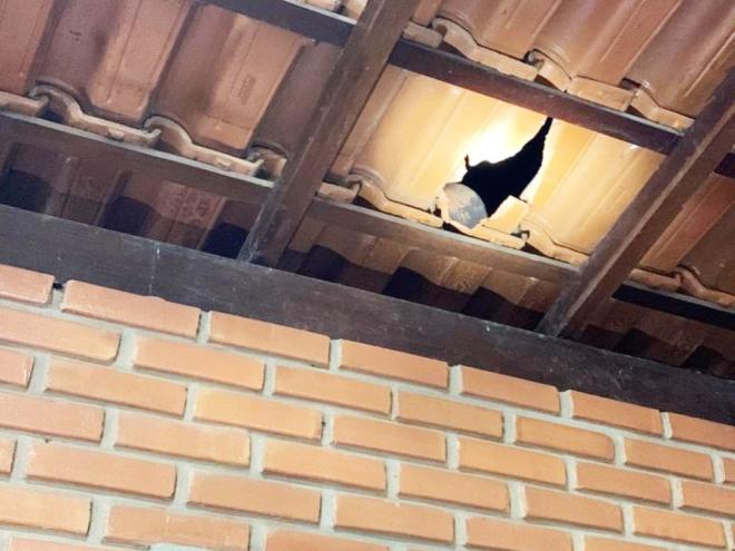 Telhado e vidraça das janelas do templo foram danificados pelo explosivo detonado sábado à noite  