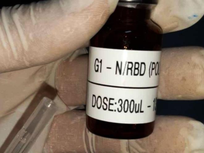 Os resultados obtidos, até o momento, demonstraram um perfil de segurança aceitável da vacina candidata