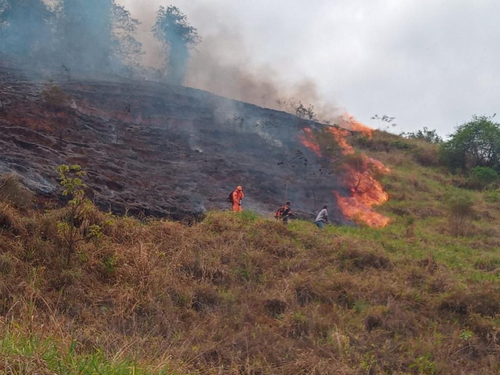 A estimativa é que, pela manhã, a vegetação em uma área de dez hectares foi consumida pelo incêndio 