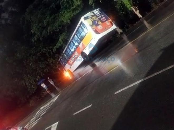 O ônibus atingiu uma árvore localizada à margem da avenida