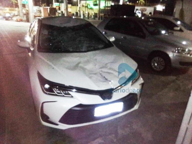 Motorista trafegava pela BR-381, sentido a BH, quando cavalo invadiu a pista e houve o acidente 