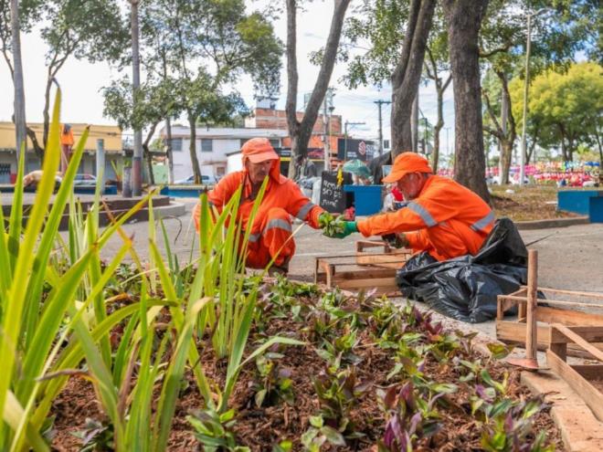 Evolução do cinturão verde e enriquecimento da paisagem urbana são alguns dos principais avanços registrados durante o ano