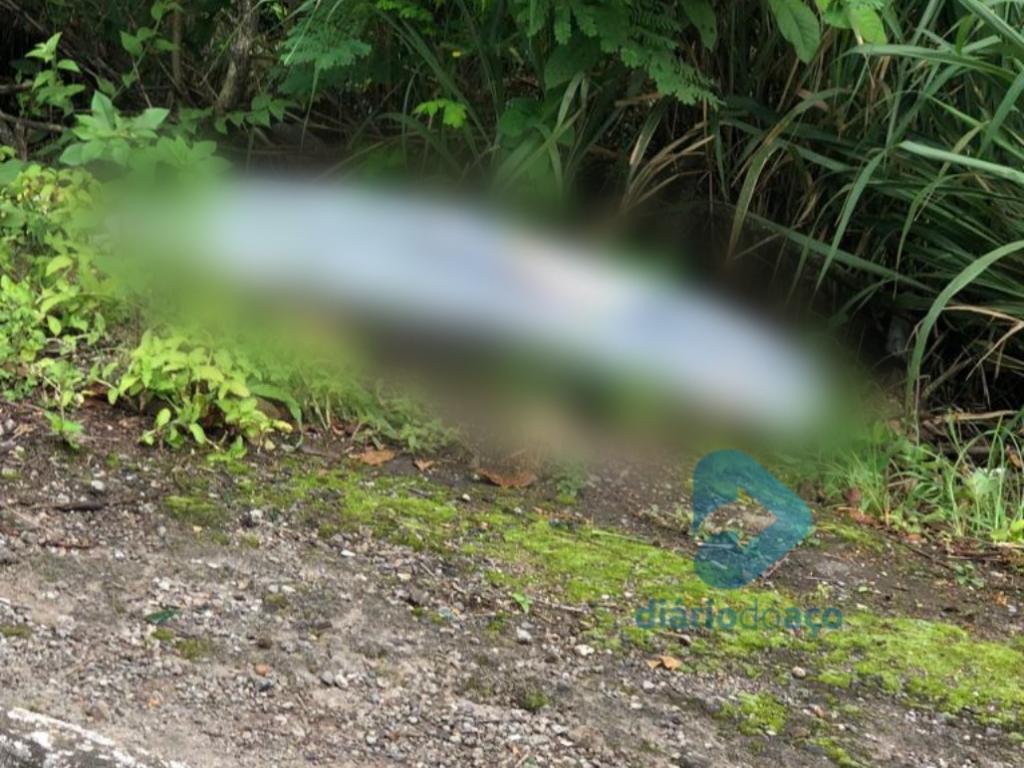 Corpo da vítima foi encontrado em um matagal 