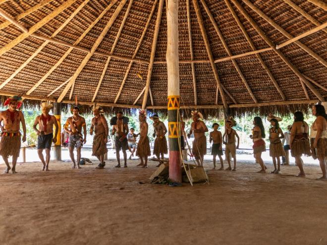 Açucena - Foto: Rodrigo Zeferino/CTMAM 