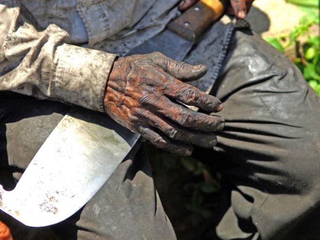 Neste sábado (28/1) é celebrado o Dia Nacional de Combate ao Trabalho Escravo; Minas Gerais tem registros recentes de casos e histórico de mortes no combate à prática desumana