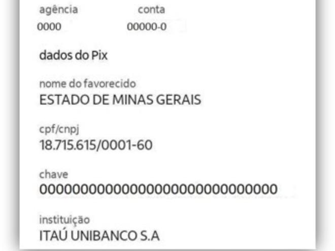 Antes de efetuar o pagamento via Pix, é preciso conferir os dados dos ''Favorecidos'', que devem ser: ESTADO DE MINAS GERAIS, documento 18.715.615/0001-60, instituição ITAU UNIBANCO S.A