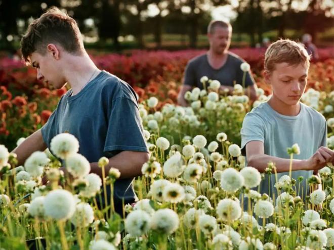 A produção foi premiada em Cannes em 2022 e indicada para o Oscar 2023