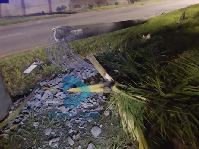 Veículo colidiu contra um poste e uma palmeira 
