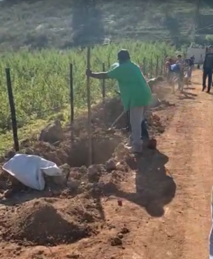 O número de plantas é referente à idade de Caio