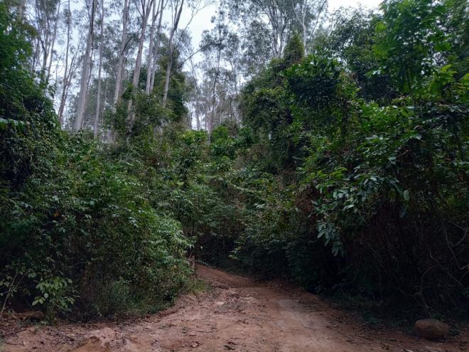 Ao todo, o parque será instalado em 18 mil metros quadrados nas imediações da área de preservação