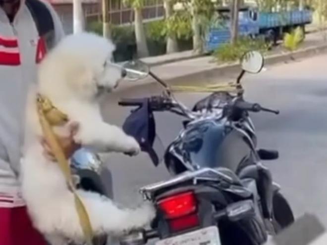 Populares se revoltaram com a situação e abordaram o motociclista 