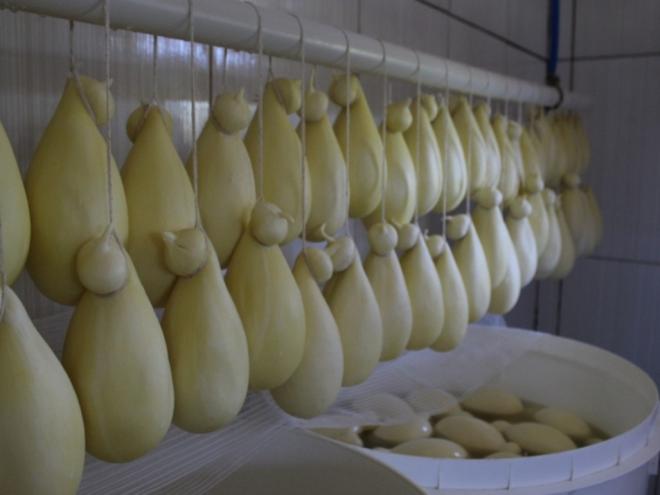 Produtores comemoram lei sancionada pelo governador Romeu Zema no início deste mês