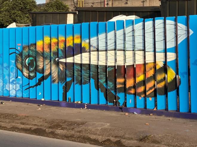 O projeto artístico se chama ''Vida Sustentável''
