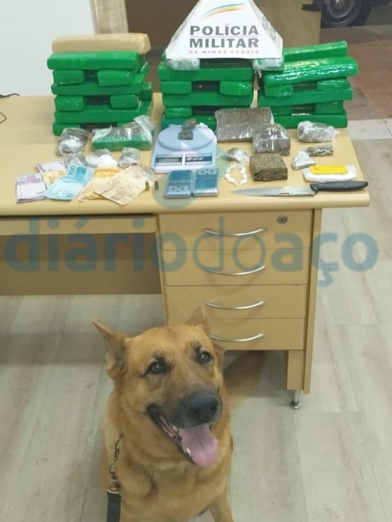 O cão farejador Lion descobriu onde estava enterrado um tambor com parte do carregamento