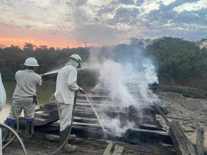 A PM, brigadistas da Cenibra e outros voluntários atuaram em conjunto para o combate ao fogo