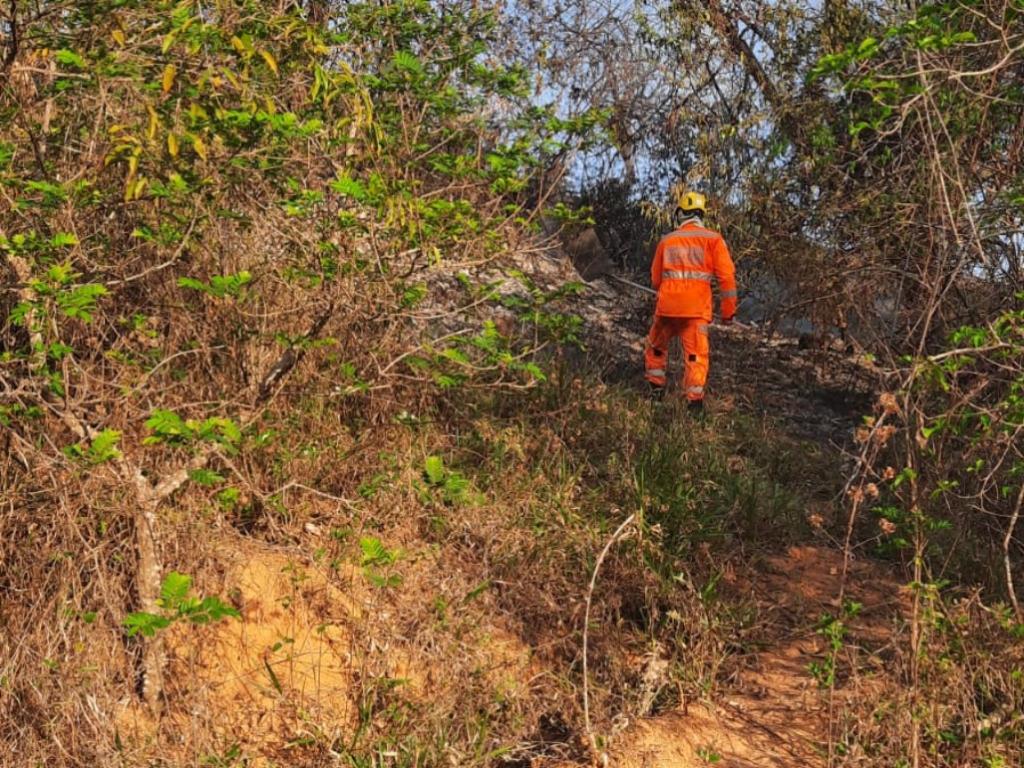 Estivativa é que fogo tenha consumido vegetação em uma área de 15 hectares