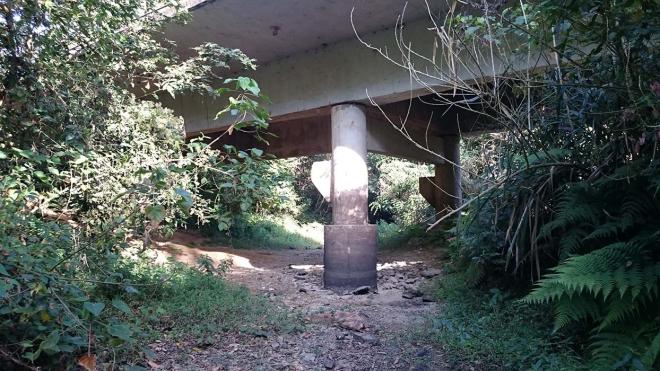 Marcas nos pilares da ponte na MG-759 mostram o nível médio da água que escoava pelo ribeirão do Boi em direção ao rio Doce