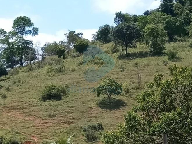 Drone foi usado para lançar herbicida em uma propriedade e vizinhos alegam que foram prejudicados 