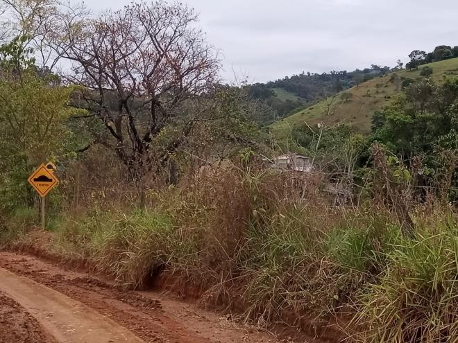 Segundo afirmam na denúncia, além da vegetação nativa do lugar, também as plantações foram atingidas 