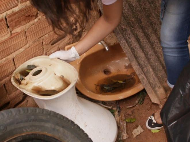 Resultado do novo LIRAa mostra que ainda é preciso fazer muito para acabar com os focos do mosquito