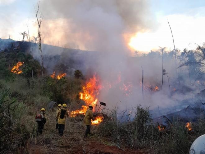 Incêndio colocou em risco a proteção do Parque Estadual do Rio Doce 