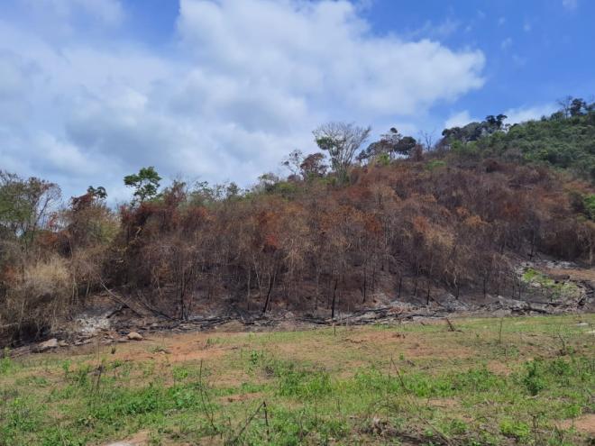 Incêndios criminosos podem resultar em prisão e multa para o autor, que pode chegar a custar até R$ 15.110,70 por hectare queimado 