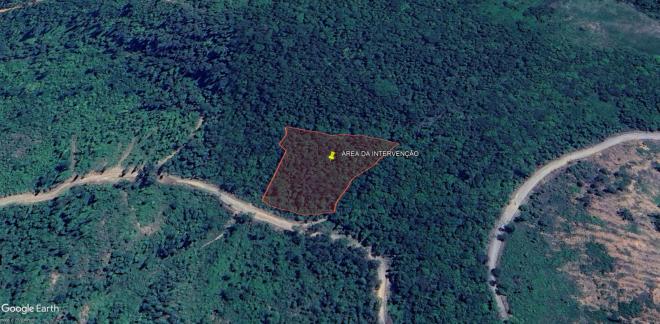 Imagem de satélite mostra área que estava sendo desmatada sem licenciamento