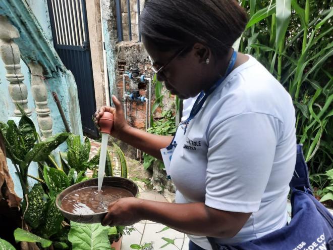 Dados da pasta apontam que, em 2023, 74,8% dos criadouros do mosquito da dengue estão nos domicílios