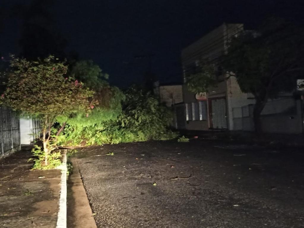 Avenida Japão, no bairro Cariru 