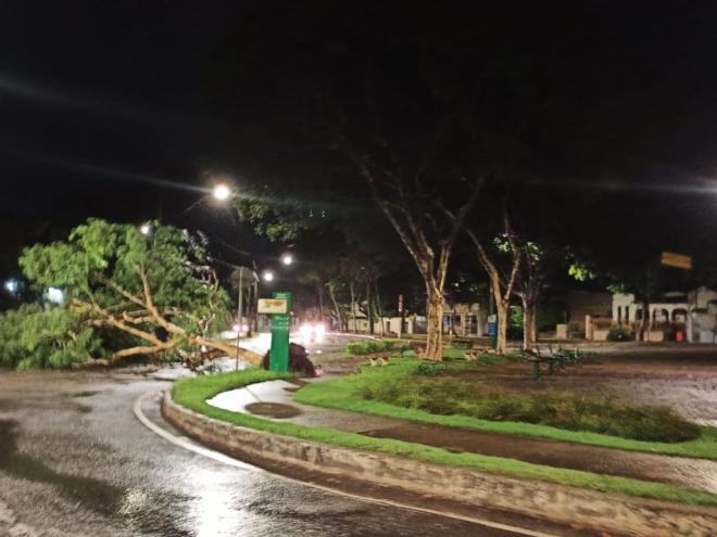 Praça localizada no trevo da rua Gaspar de Lemos e entrada da avenida Usiminas, no bairro Bom Retiro  