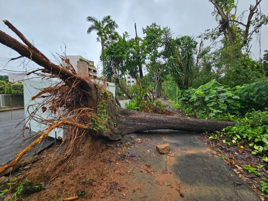 Mata ciliar foi devastada por rajadas de vento, na noite de 26 de dezembro de 2023 