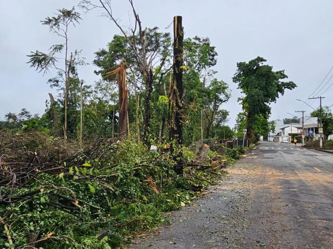 Cenário da mata ciliar à margem da pista de caminhada na avenida Itália, bairro Cariru, em Ipatinga