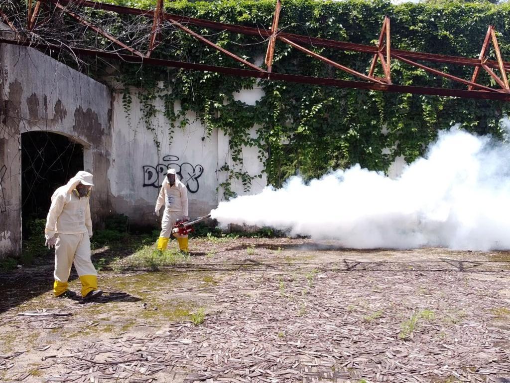 Entulho acumulado foi jogado fora e foi feita aplicação do fumacê com bomba costal