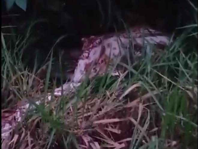 Sem identificação, corpo encontrado no meio do mato foi levado para o IML em Ipatinga para exames que poderão revelar a causa da morte 