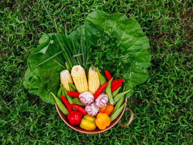 A iniciativa destaca a importância dos ingredientes 