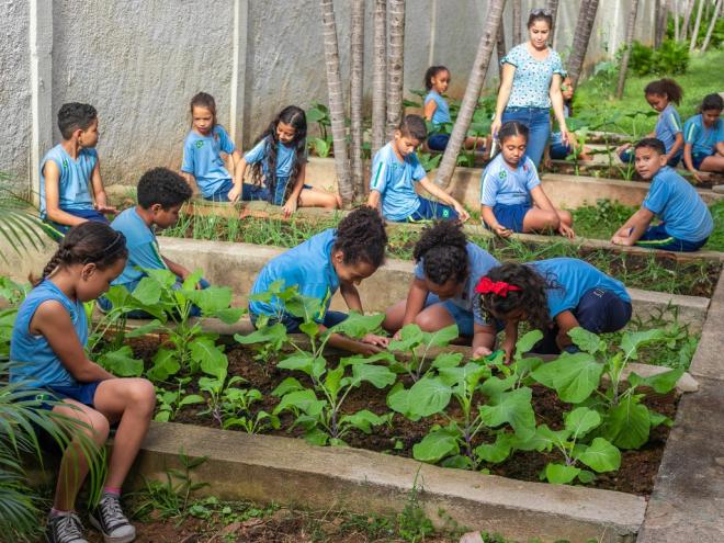 No período, 25.061 mudas das mais diversas espécies foram doadas à comunidade.
