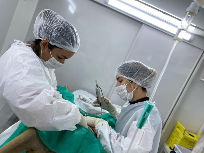 Programa municipal já viabilizou a castração de mais de 2.600 animais em seu primeiro ano de funcionamento