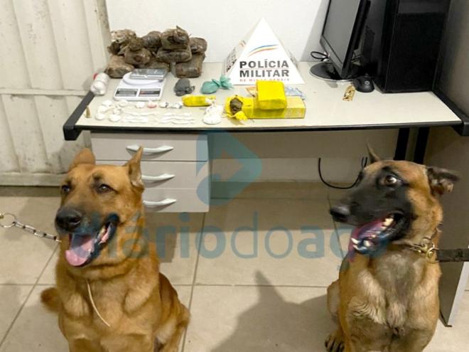 Os cães da Rocca participaram das buscas para a localização dos entorpecentes