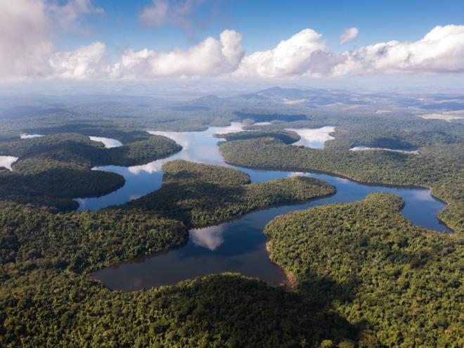 Parque Estadual do Rio Doce é considerada a maior área contínua de mata atlântica preservada em MG