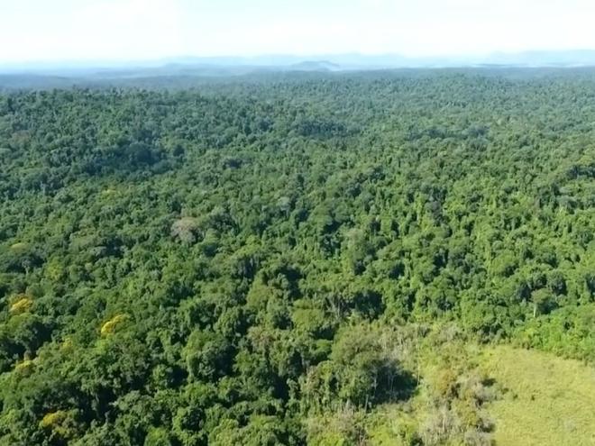 Áreas como a APA de Timóteo absorvem a água da chuva e reduzem o escoamento superficial. 