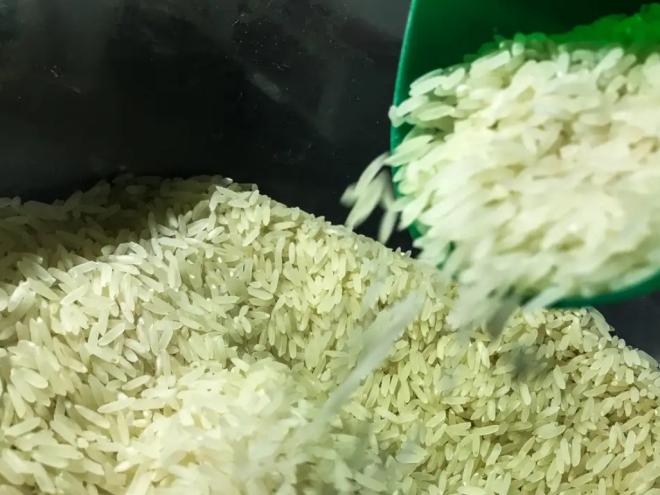 Iniciativa pretende garantir o abastecimento do alimento em todo o país