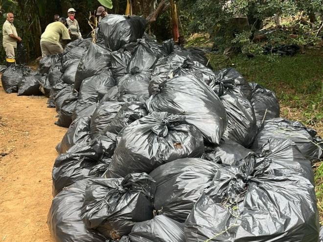 O transmissor da doença (principalmente o mosquito pólvora) se reproduz nas áreas úmidas, entre folhas secas e molhadas. Por isso os arredores das residências necessitam de limpeza constante e remoção de galhos e folhas