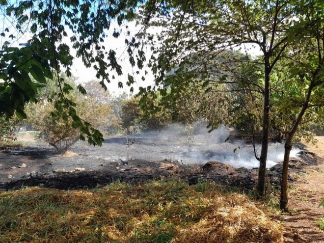 As queimadas urbanas são consideradas crime ambiental, conforme o artigo 54 da Lei nº 9.605, de 1998 