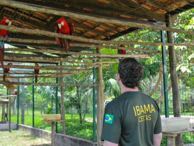 DF, Bahia e Santa Catarina param dia 1º; Ceará vota contra movimento
