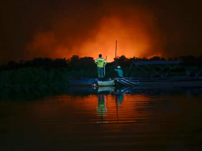 No primeiro momento, foco será no Pantanal e na Amazônia