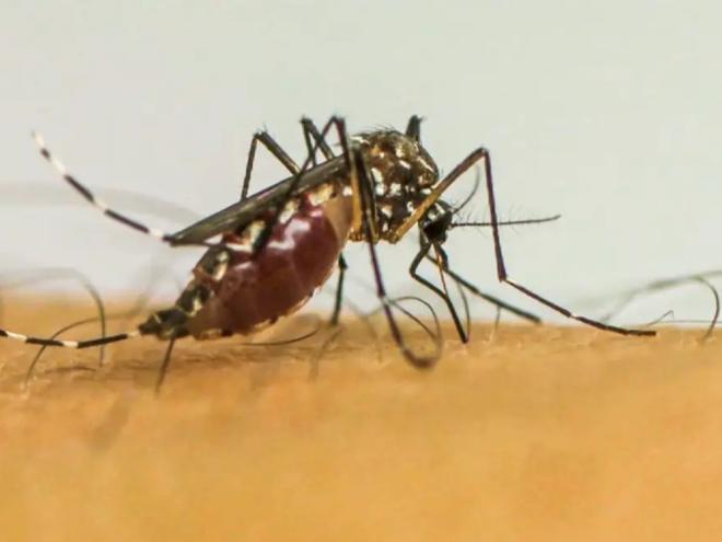 Situação foi provocado por explosão de casos de dengue